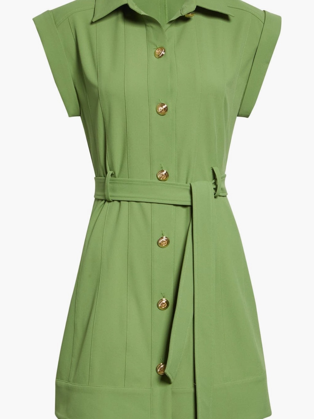cinq a sept Light Green Shirtwaist Mini Dress with Gold Buttons
